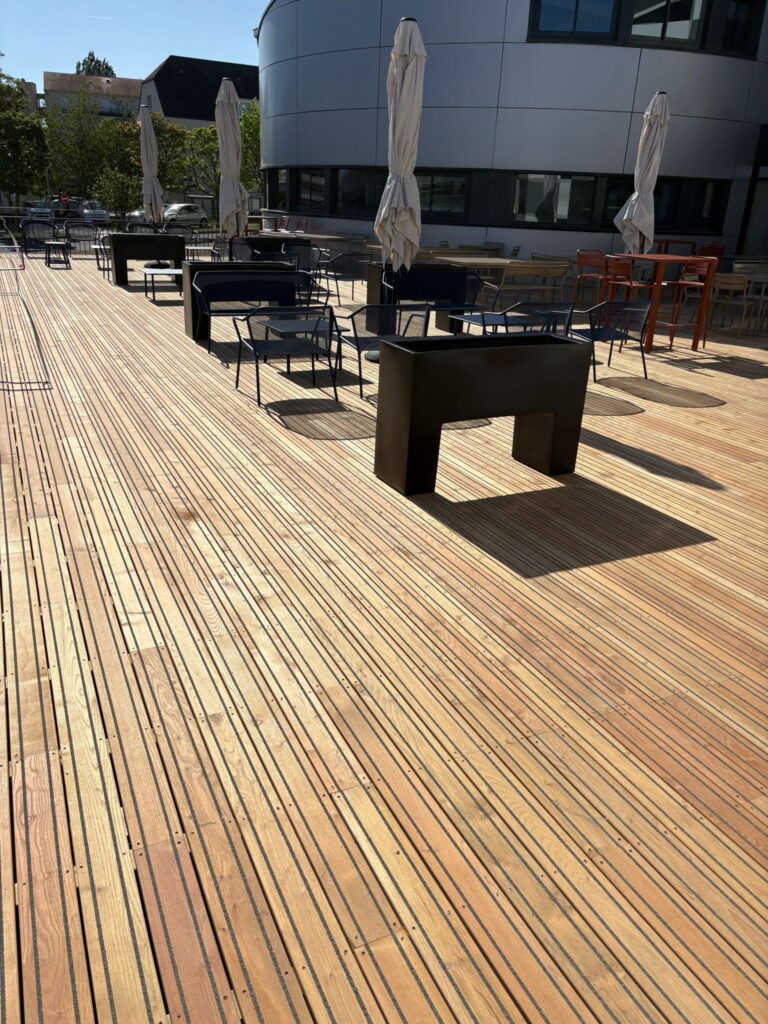 WhatsApp Image 2026-04-23 at 11.06.46 AM